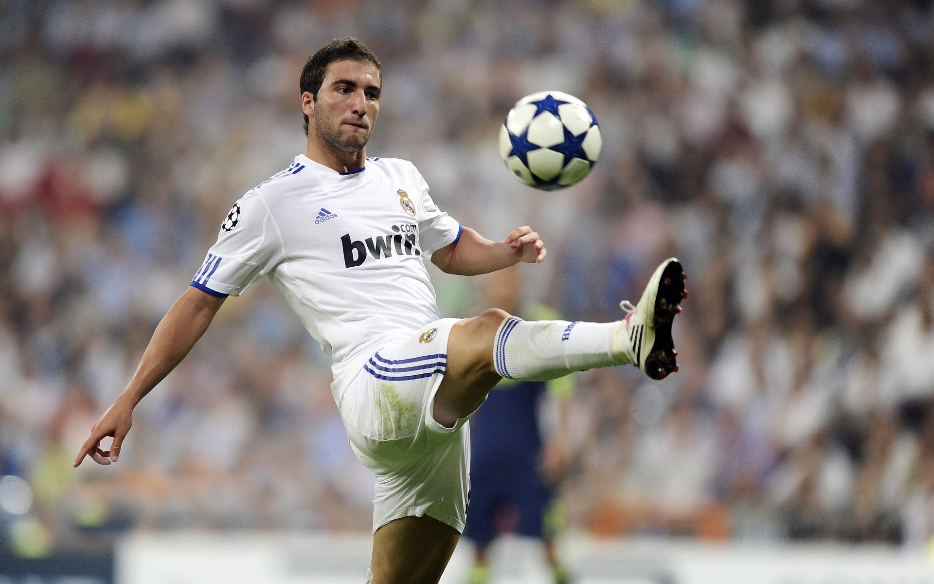 爱德华兹,当硬仗之王的咆哮撕裂明尼苏达的寒夜